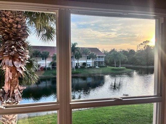 Everlast Window Cleaning