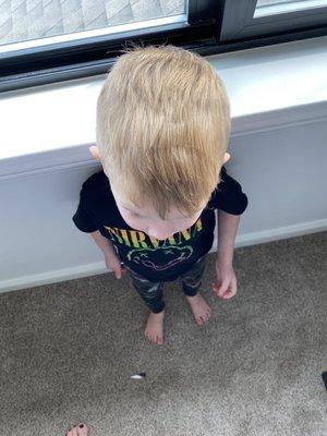 1 day after his cut it still looks awful.