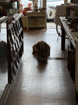 Sally B's Country Store