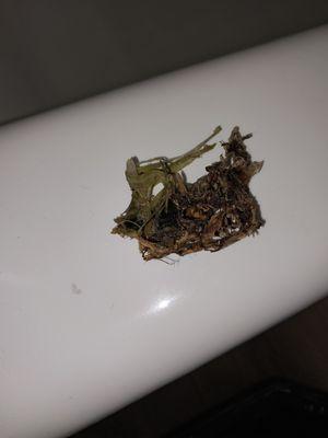 Canyon Plumbing & Heating, Inc