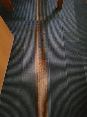 Nice carpet. No smells or debris.