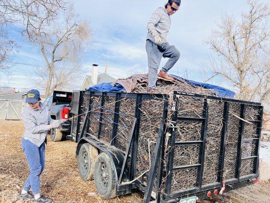 Shining Diamond Services