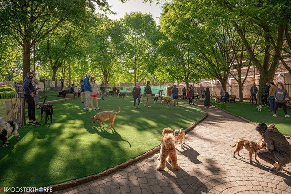 Newly resurfaced artificial turf.