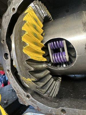 Shaggy’s Ring And Pinion