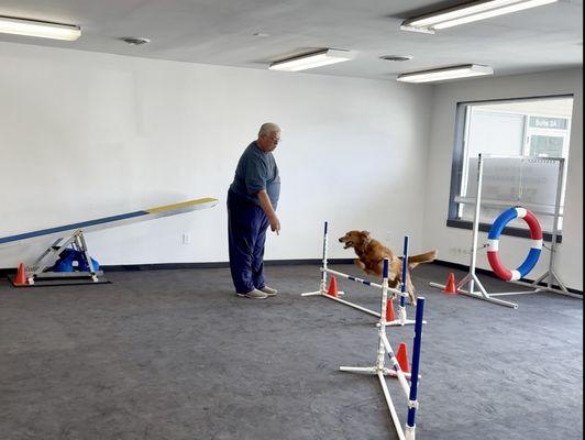 Maryland Canine Academy