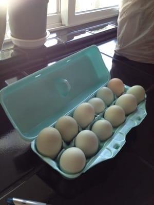 Our green eggs are the best!