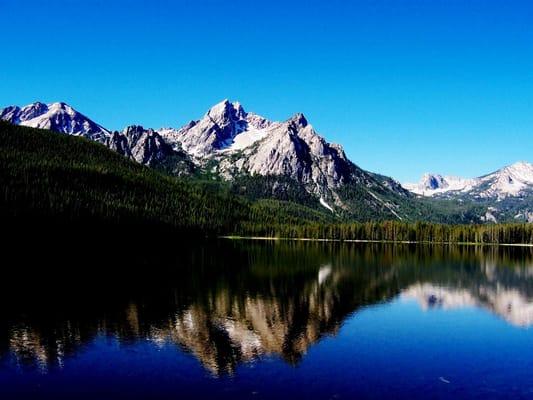 Pinnacle Tax Services