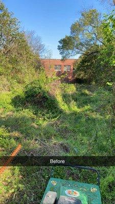Back yard of property of commercial building of overgrown facility before clean-up