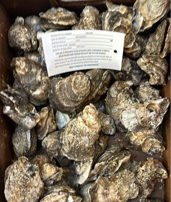 Live oysters...call ahead by Wednesday to order for weekend delivery.