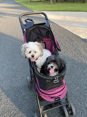 Tidy and bright Maria’s cleaning services