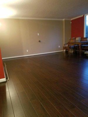 Residential Cleaning