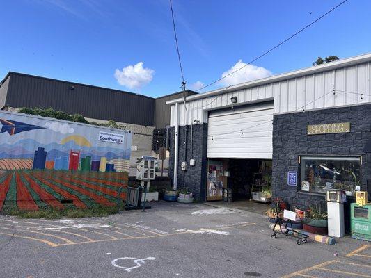 Turnip Green Creative Reuse