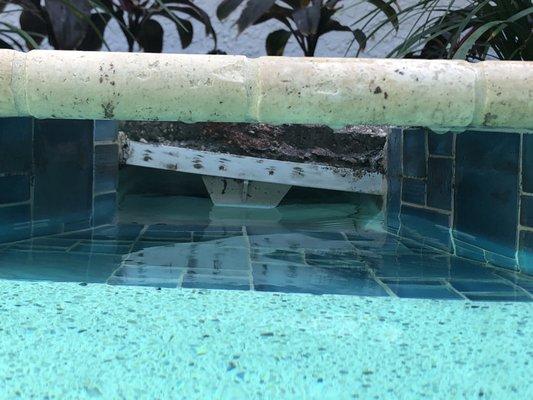 Pic of skimmer from pool view