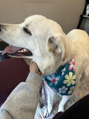 Veterinary Center of Parker