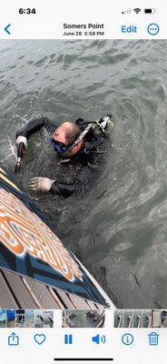 Curlew Bay Dive Service