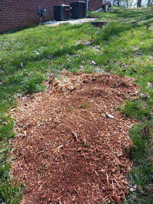 Yard Pro