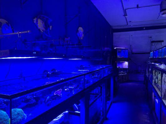 Tropi-Quatics Pet Centre