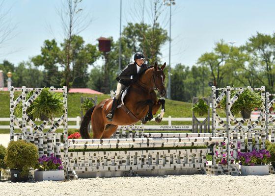 BakerHill Sporthorses