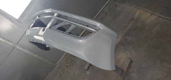 Expert precision painting