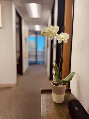 Nice views from all the windows