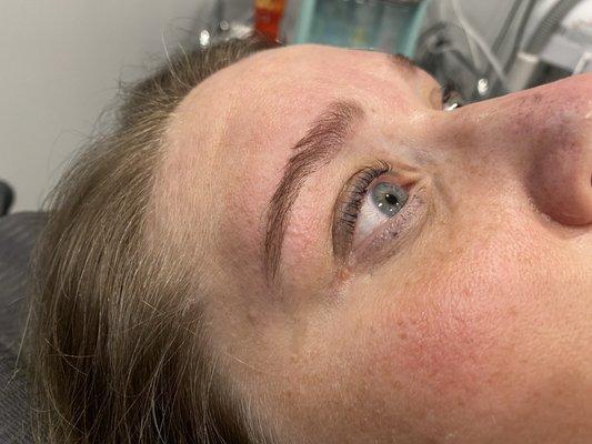 Brow shape, mapping ,lami ,& tint