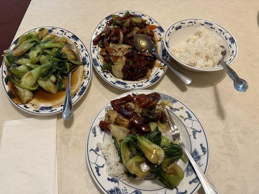 Imperial Chinese Garden