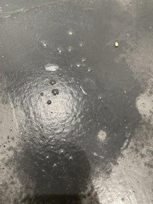 Blisters with oily substance that smells like vinegar.