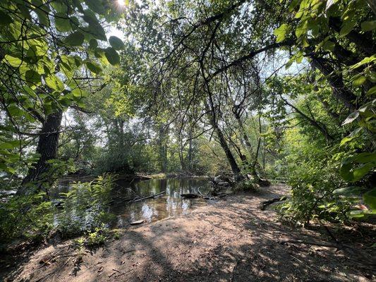 Greenbelt along the park