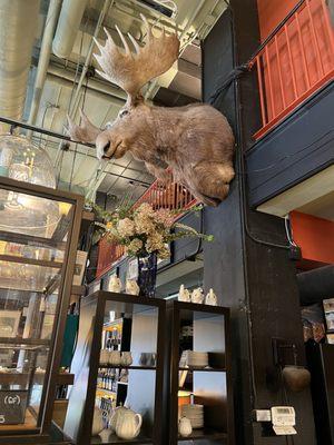 Battery Park Book Exchange & Champagne Bar
