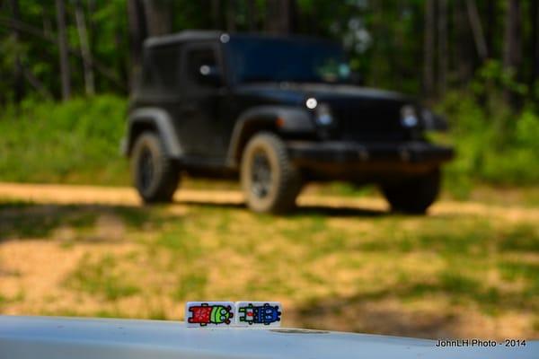 Desoto National Forest - Tuxachanie Trail POW Camp