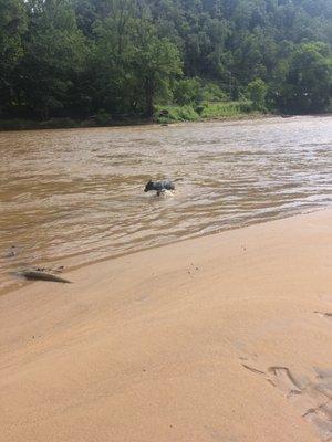 Marshall High Studios