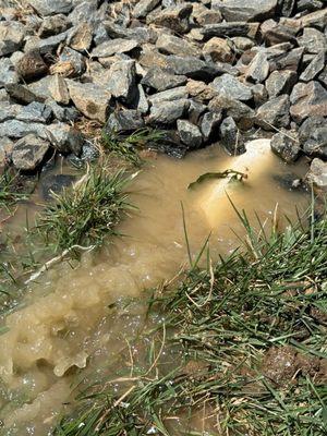 T Max Construction Services