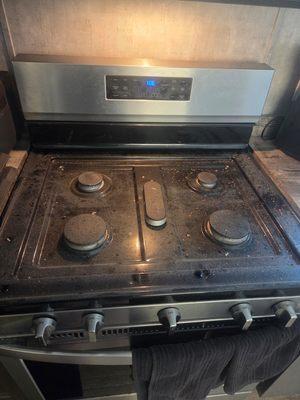 Ari's Cleeaning Services