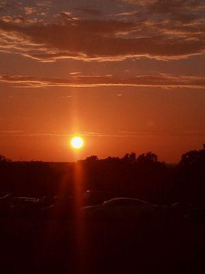 Shaffer's Cleaning & Haul Off Services