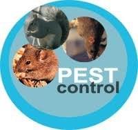 Specialty Sprays Pest Control
