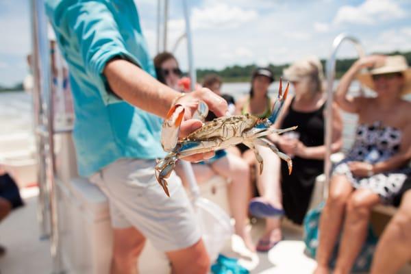 Spartina Marine Education Charters