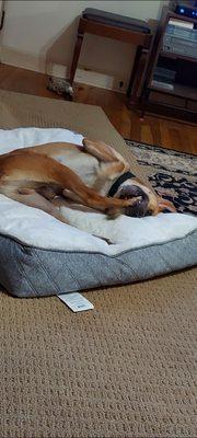 ViewPoint Tree Service