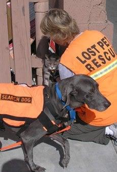 Sadie and Myron on a training session with Kat
