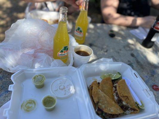 Birria Taco with Cheese