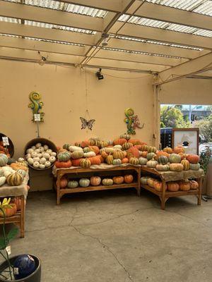 Sloat Garden Center