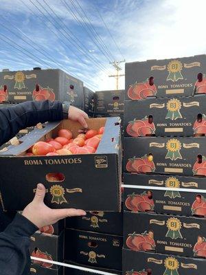 Roma Tomato 25 LB