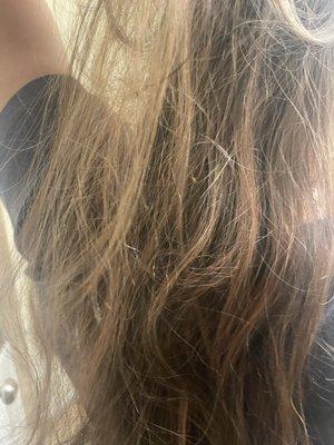 Hair We Are Styling Salon