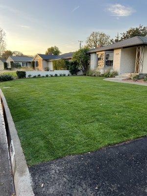 DLT Landscape & Maintenance