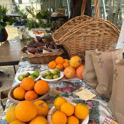 Santa Ysabel Farmers Market