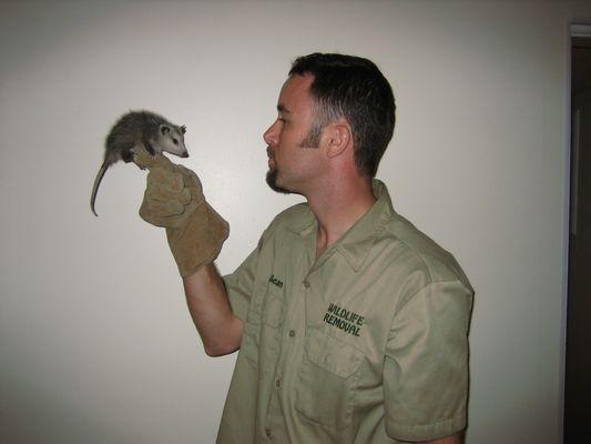 Fort Worth Wildlife Control