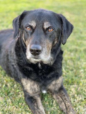 Sunnycrest Animal Care Center