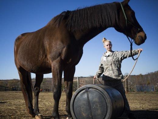 Dark Horse Horsemanship