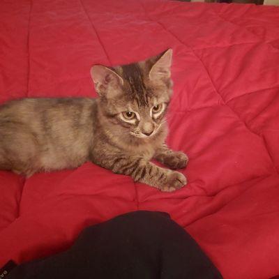 Now happy and healthy!