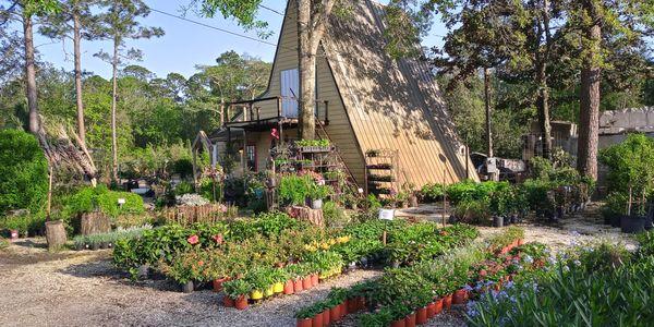 The Nursery on Chat Holly