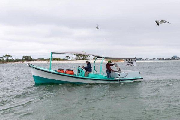 Captain Frazier's Bait Boat in Orange Beach, AL